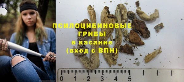спайс Елабуга