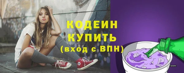 мескалин Ельня