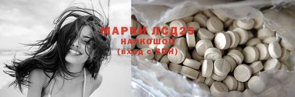 трава Елизово