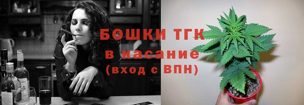 мескалин Ельня