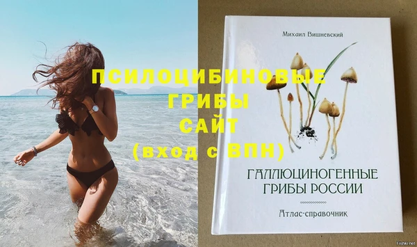 трава Елизово