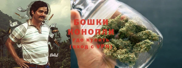 мескалин Ельня