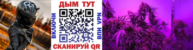Каннабис план  Купить где  Светогорск 
